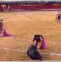 掌上斗牛苹果版斗牛牛手机棋牌苹果