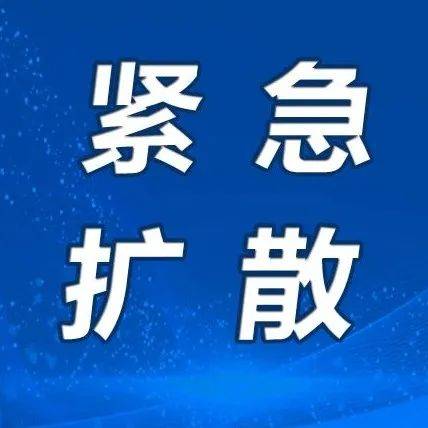 琅琊新闻网-手机版下载国内看不到的政治新闻网站-第2张图片-太平洋在线下载