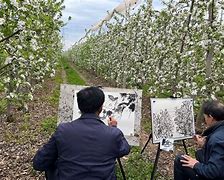 安享花苹果版小花钱包苹果版app