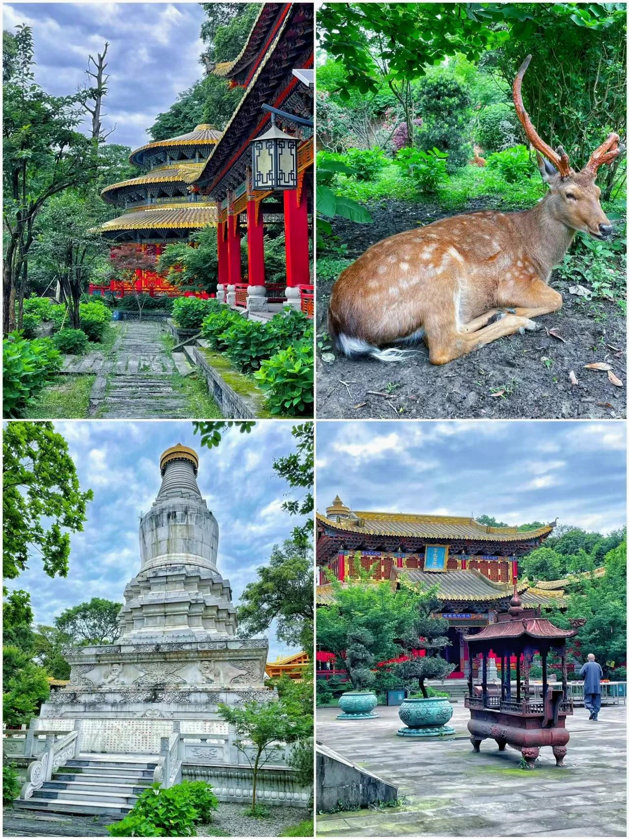 成都耍耍苹果版少女都市下载苹果