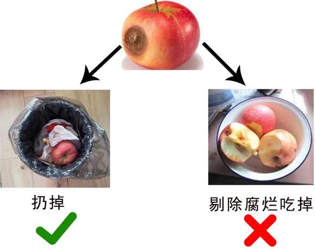 坏苹果日文版坏苹果badapple