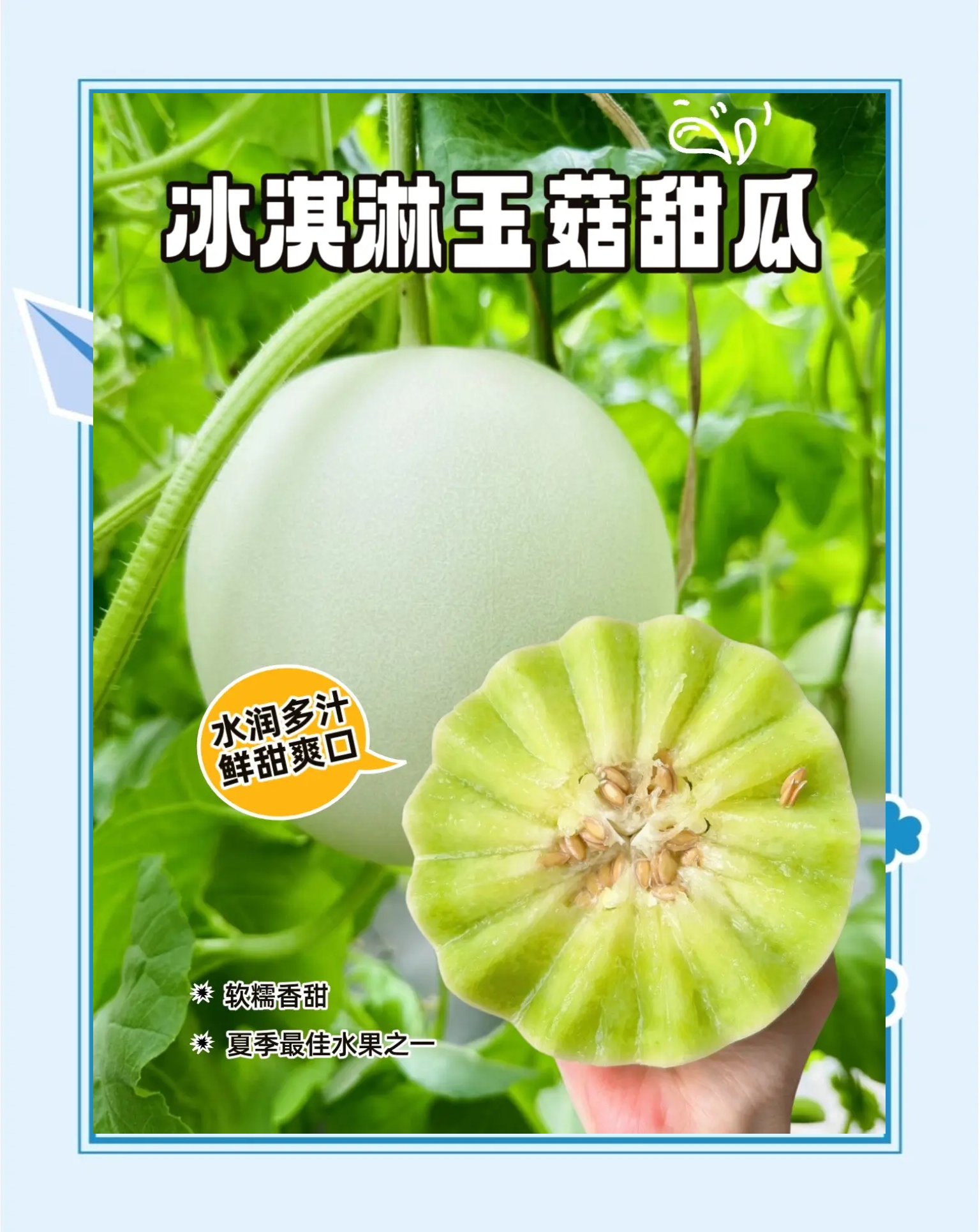 甜瓜沙河安卓版7723甜瓜游乐场电脑版下载-第2张图片-太平洋在线下载